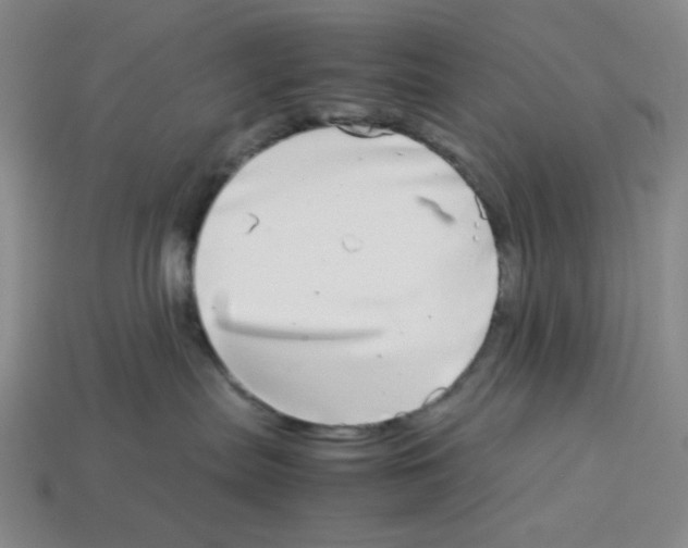 X0000112790287200910021106