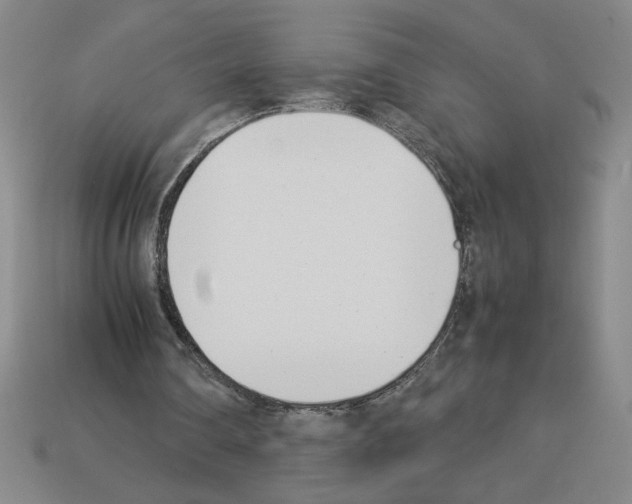 X0000112790290200910021105