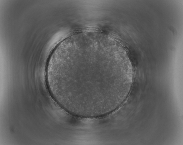 X0000112790293200910021105