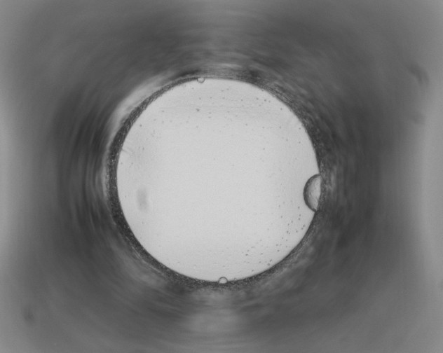 X0000112790294200910021105