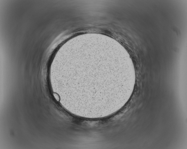 X0000112790295200910021105