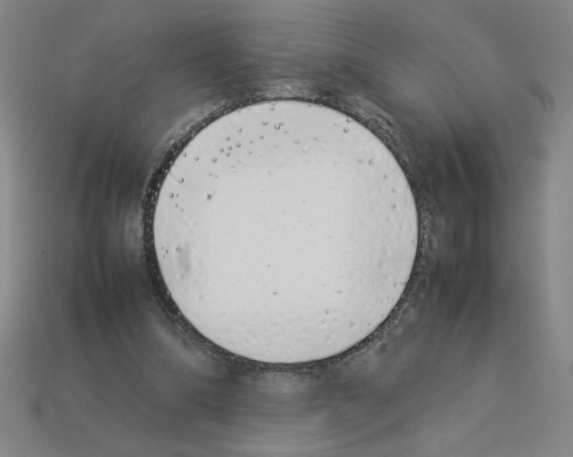 X0000112790298200910021105