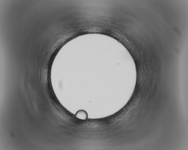 X0000112790299200910021105