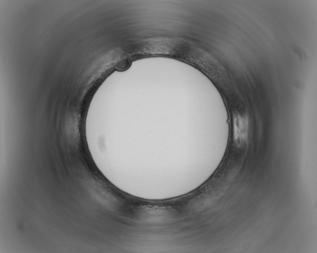 X0000112790300200910021105