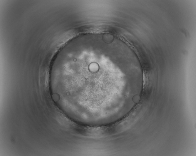 X0000112790301200910021105