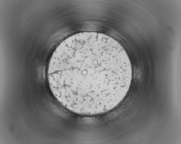 X0000112790302200910021105