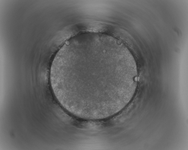 X0000112790305200910021105