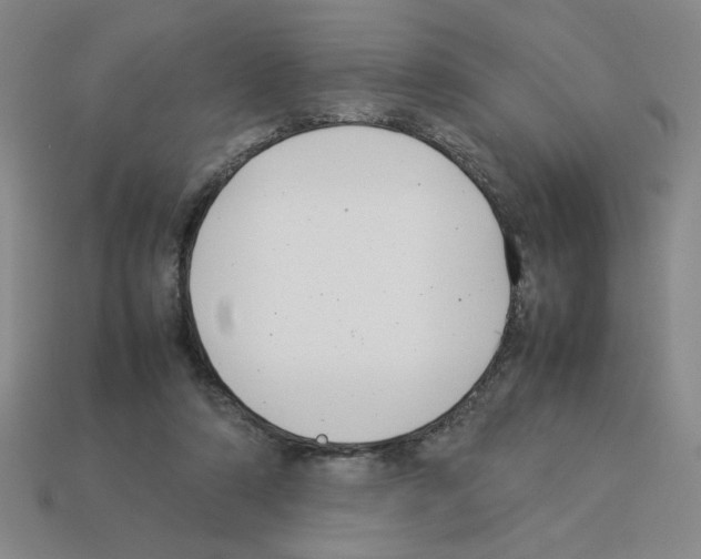 X0000112790306200910021105