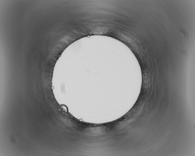 X0000112790307200910021105