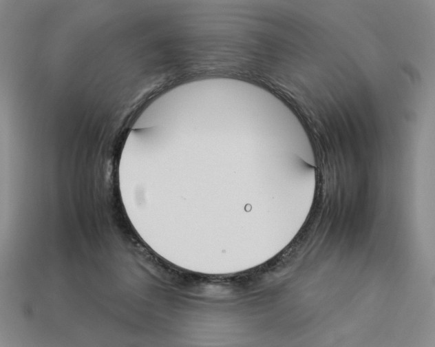 X0000112790308200910021105