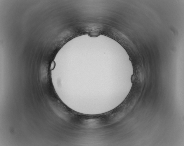 X0000112790312200910021105