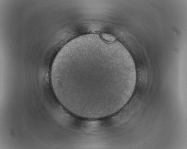 X0000112790313200910021105