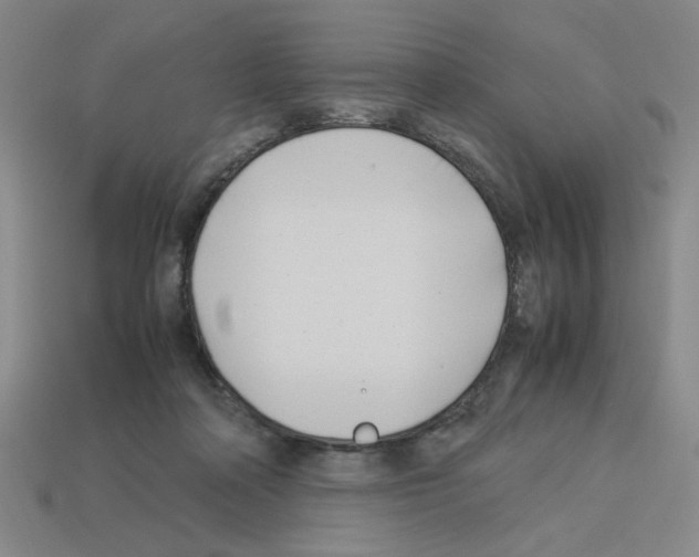 X0000112790314200910021105