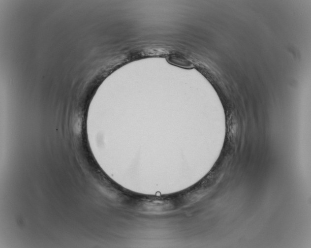 X0000112790315200910021105