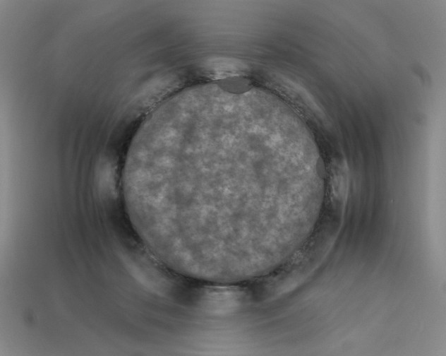 X0000112790316200910021105