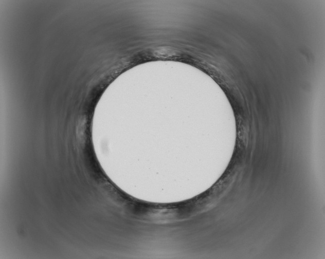 X0000112790319200910021105