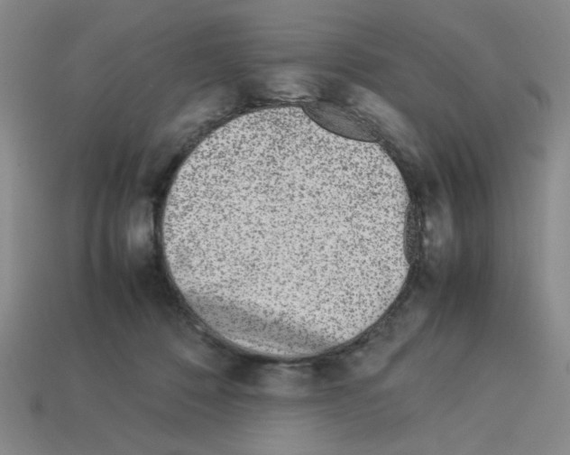 X0000112790320200910021105