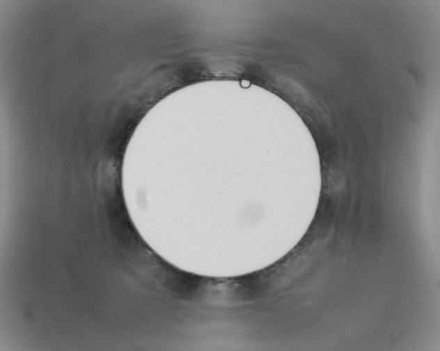 X0000112790321200910021105