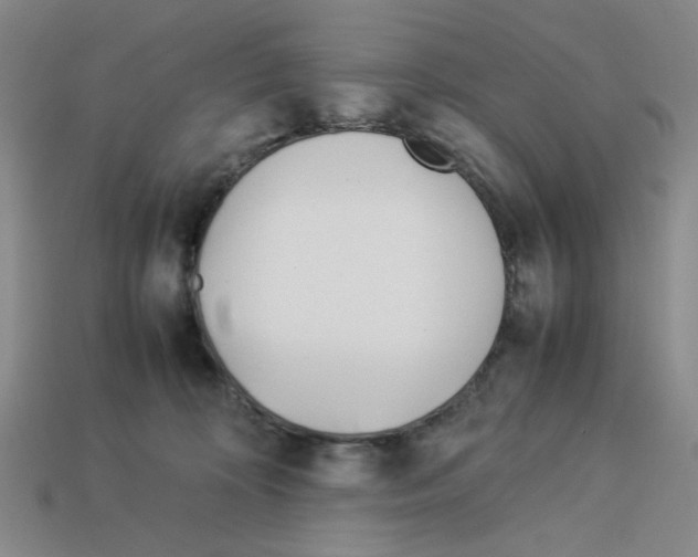 X0000112790324200910021105