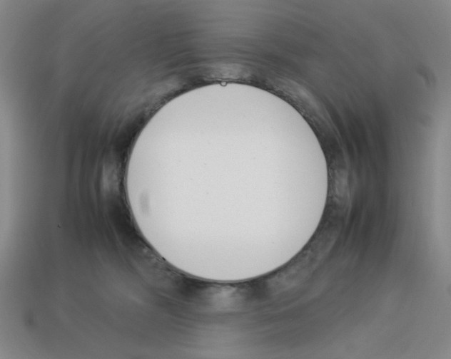 X0000112790326200910021105