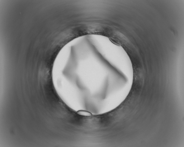 X0000112790327200910021105