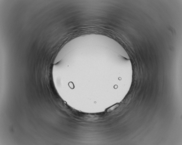 X0000112790328200910021105