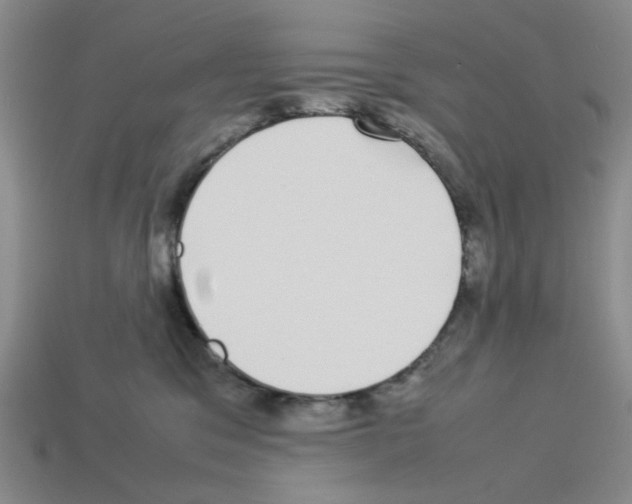 X0000112790329200910021105