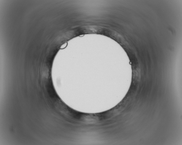 X0000112790331200910021105