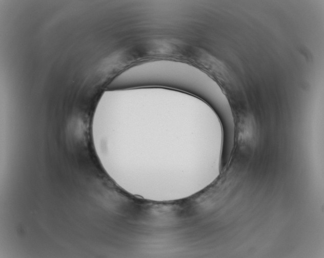 X0000112790332200910021105