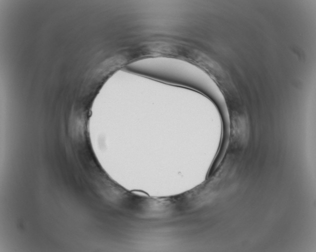 X0000112790333200910021105