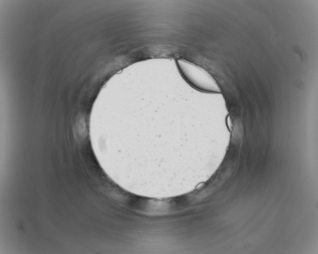 X0000112790335200910021105