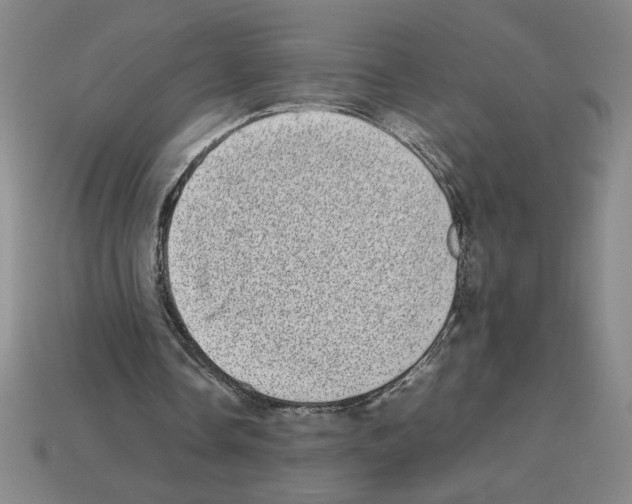 X0000112790338200910021104