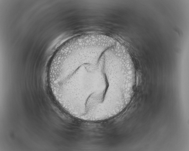 X0000112790339200910021104