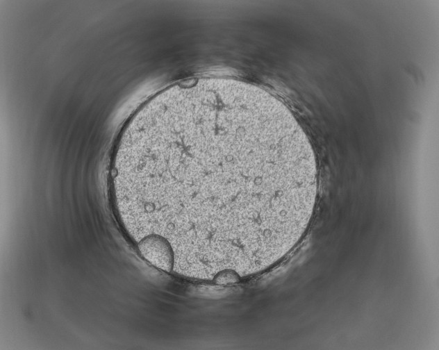 X0000112790341200910021104