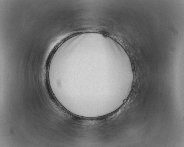 X0000112790342200910021104