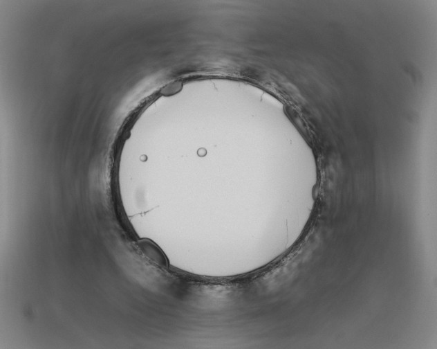 X0000112790344200910021104