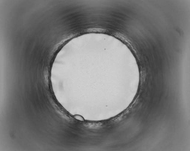 X0000112790345200910021104