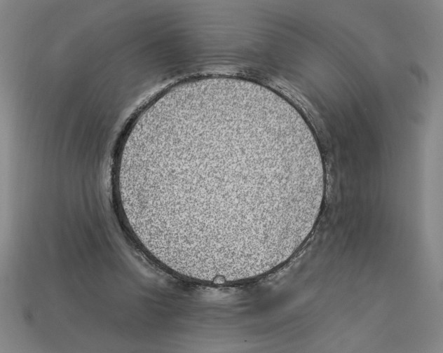 X0000112790346200910021104