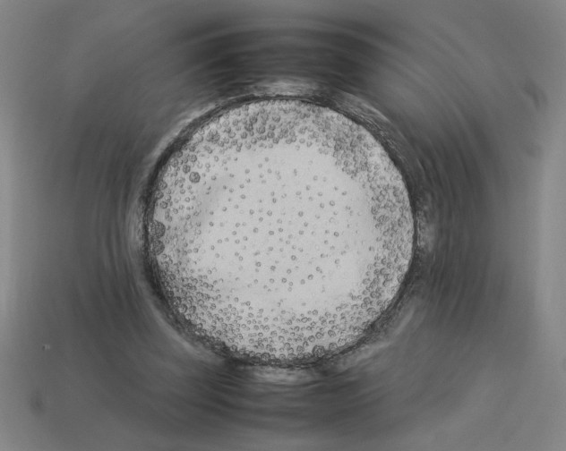 X0000112790347200910021104