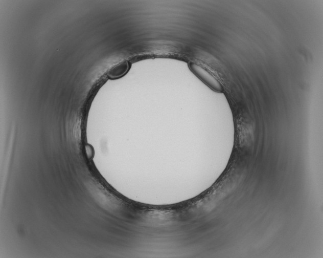 X0000112790350200910021104