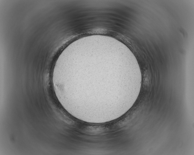 X0000112790351200910021104