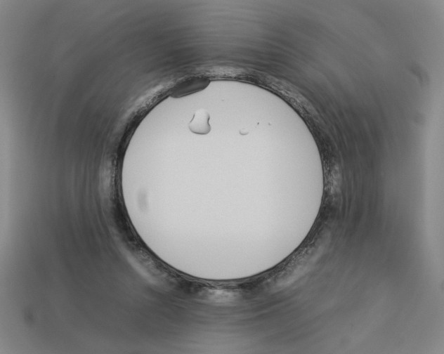 X0000112790352200910021104