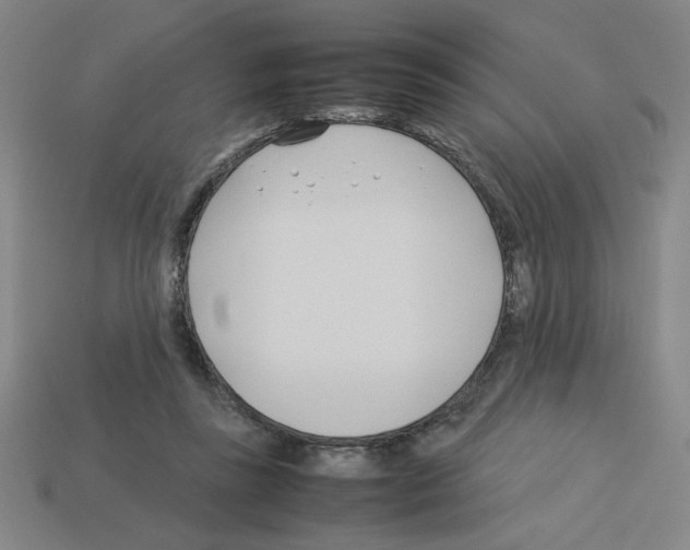 X0000112790355200910021104