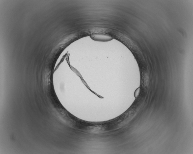 X0000112790356200910021104