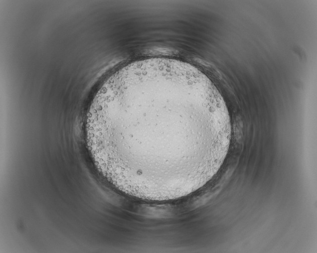 X0000112790359200910021104