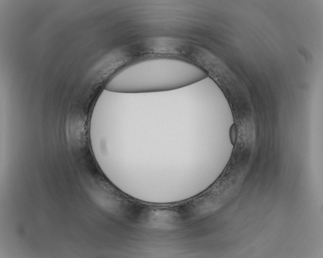 X0000112790360200910021104