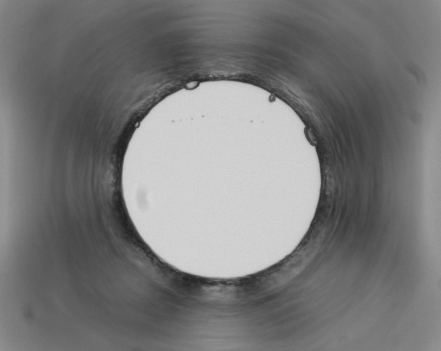 X0000112790362200910021104