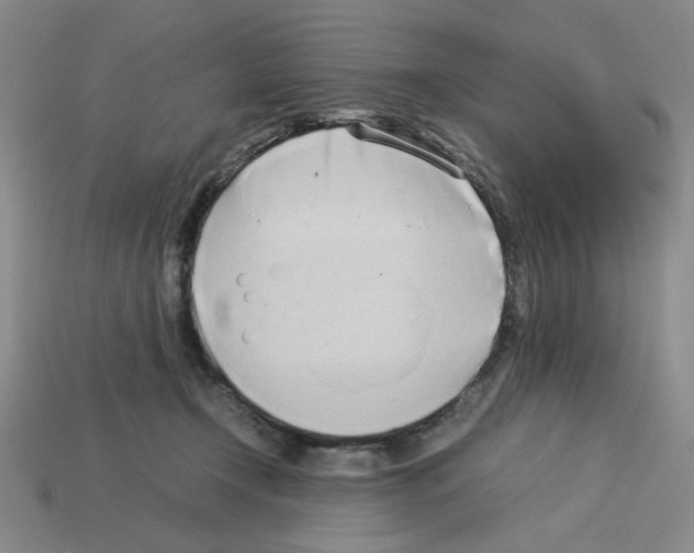 X0000112790366200910021104