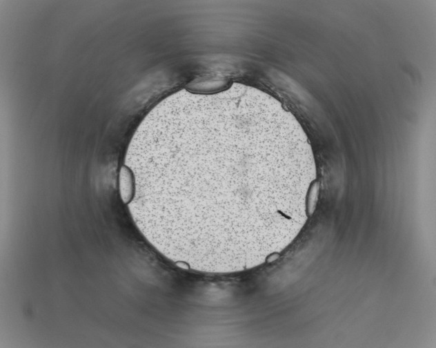 X0000112790368200910021104