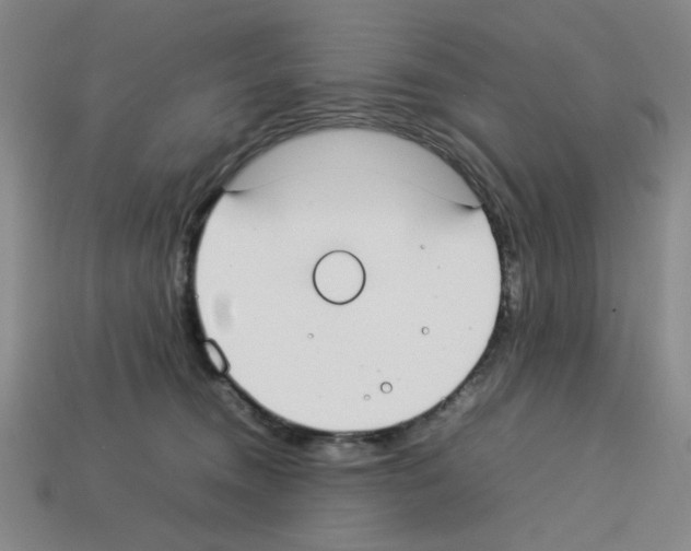 X0000112790372200910021105